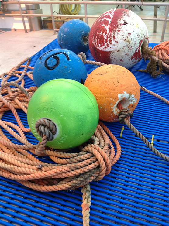 Paspaley buoys pearl seeding Broome Western Australia
