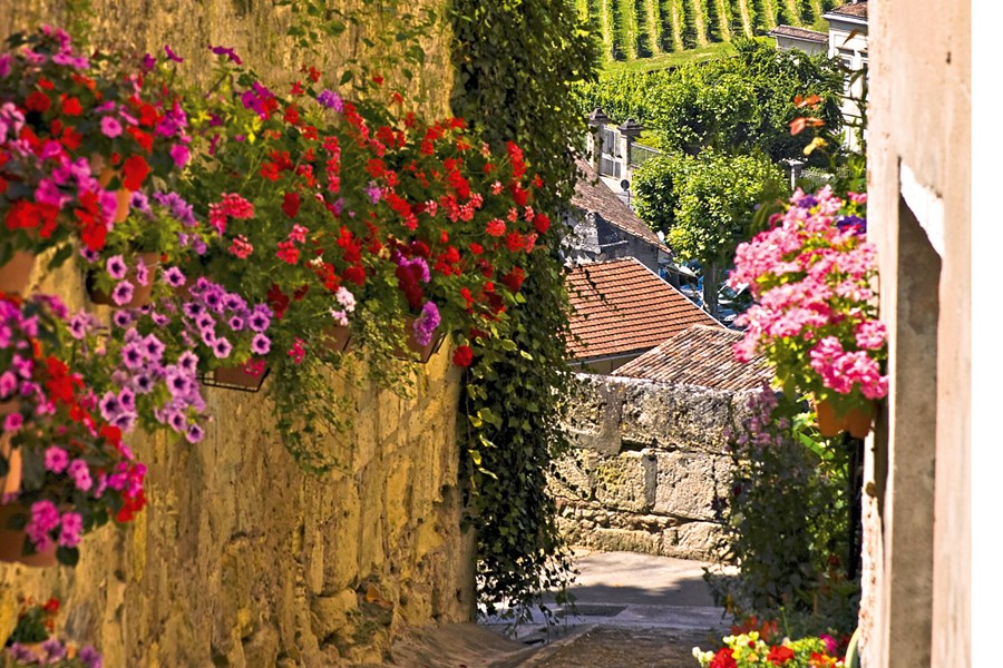 Viking-cruises river boats french countryside