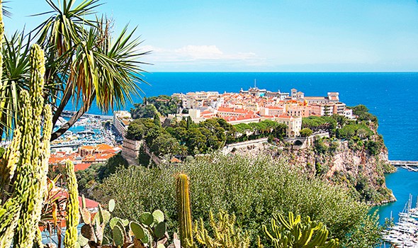 monaco exotic garden view cacti succulents