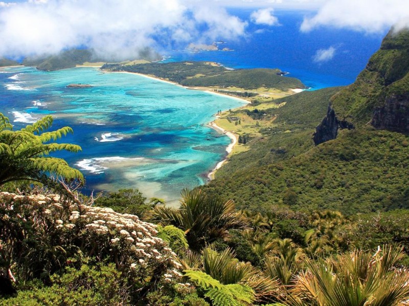 Lord Howe Island Pacific-Escape natural paradise wildlife sanctuary