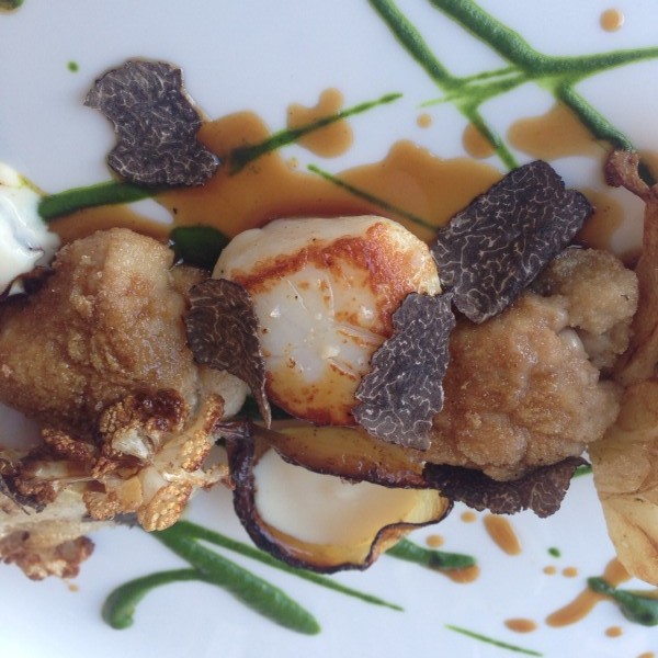 Regatta scallops sweetbreadtruffles claudio morales