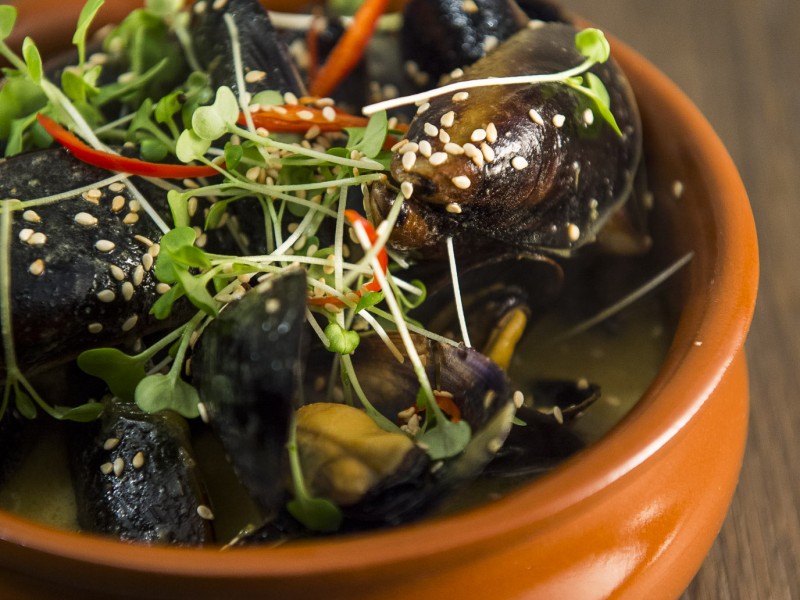 Luis-Tan-wild-port-lincoln-mussels-coconut-curry-bondi-beach-dining-sydney-by-the-sea