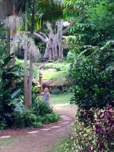 wendy whiteley secret garden lavender bay sydney foreshore deans