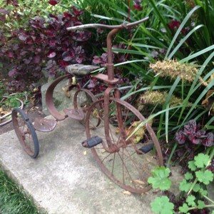 wendy whiteley secret garden lavender bay old bike skelly