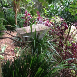 wendy whiteley secret garden lavender bay wheelbarrow skelly