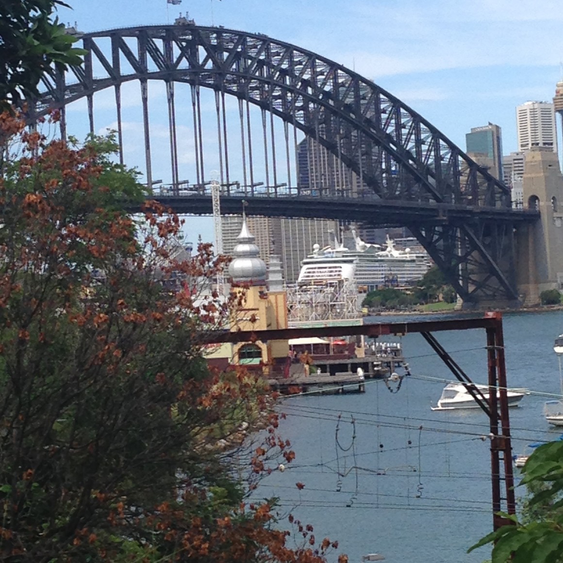 wendy whiteley secret garden lavender bay sydney harbour skelly