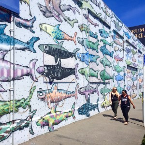 Wellington mural sharkfinning protest BMD ms noordam cruise port nz north isand susan skelly