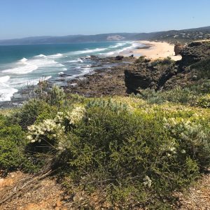 Surf coast split point lighthouse great ocean road victoria australia