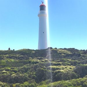 split point lighthouse aires inlet great ocean road southern victoria australia photo susan skelly