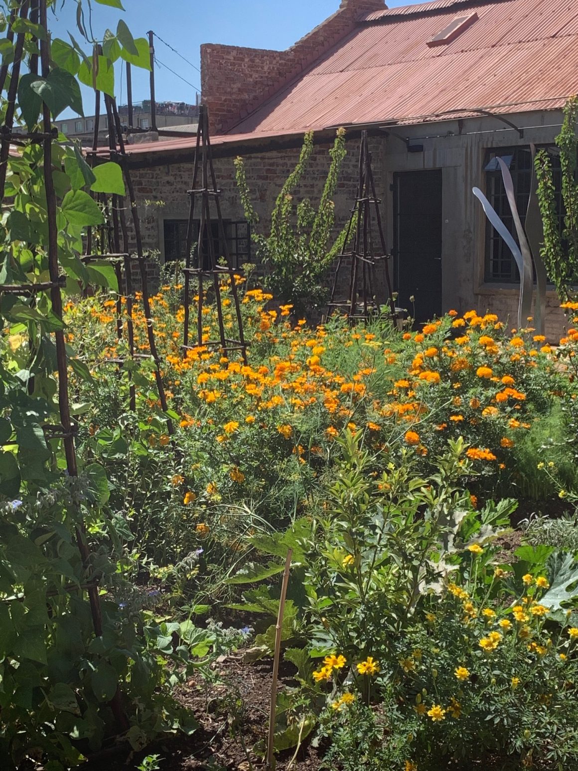 market gardens victoria yards johannesburg skelly